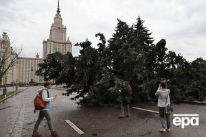 Повалено 3,5 тыс. деревьев