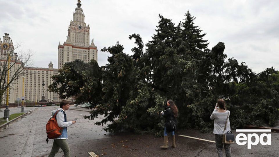 Повалено 3,5 тыс. деревьев