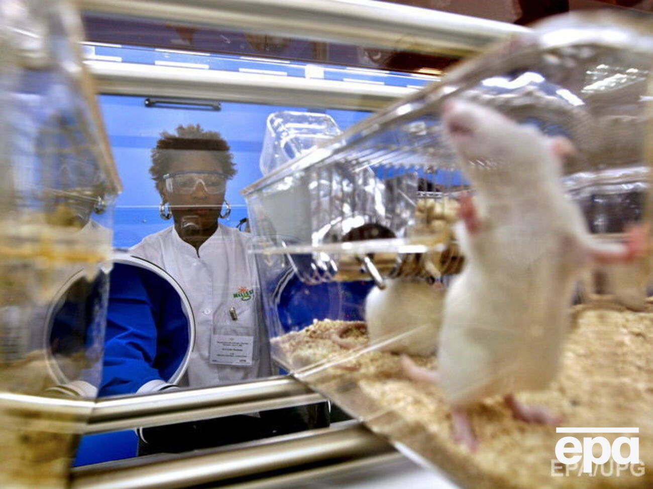 Конвенция ставит целью минимизировать использование животных в экспериментах