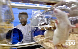 Конвенция ставит целью минимизировать использование животных в экспериментах