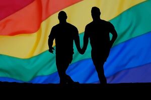 Глави МЗС Європи стурбовані "репресіями" стосовно гомосексуалів у Чечні