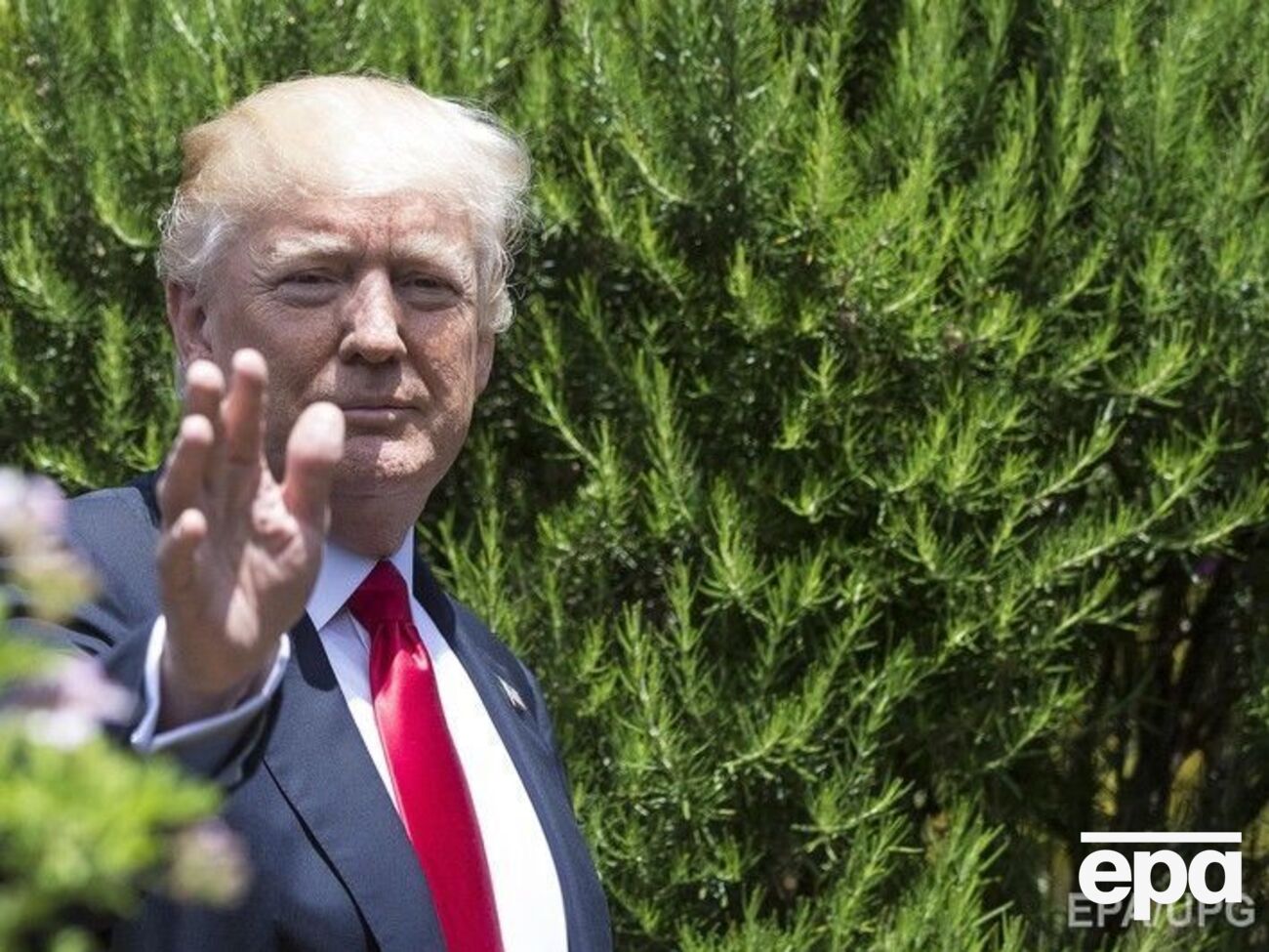 CNN: Россия рассматривала любые способы влияния на президентские выборы в США, на которых победил Дональд Трамп