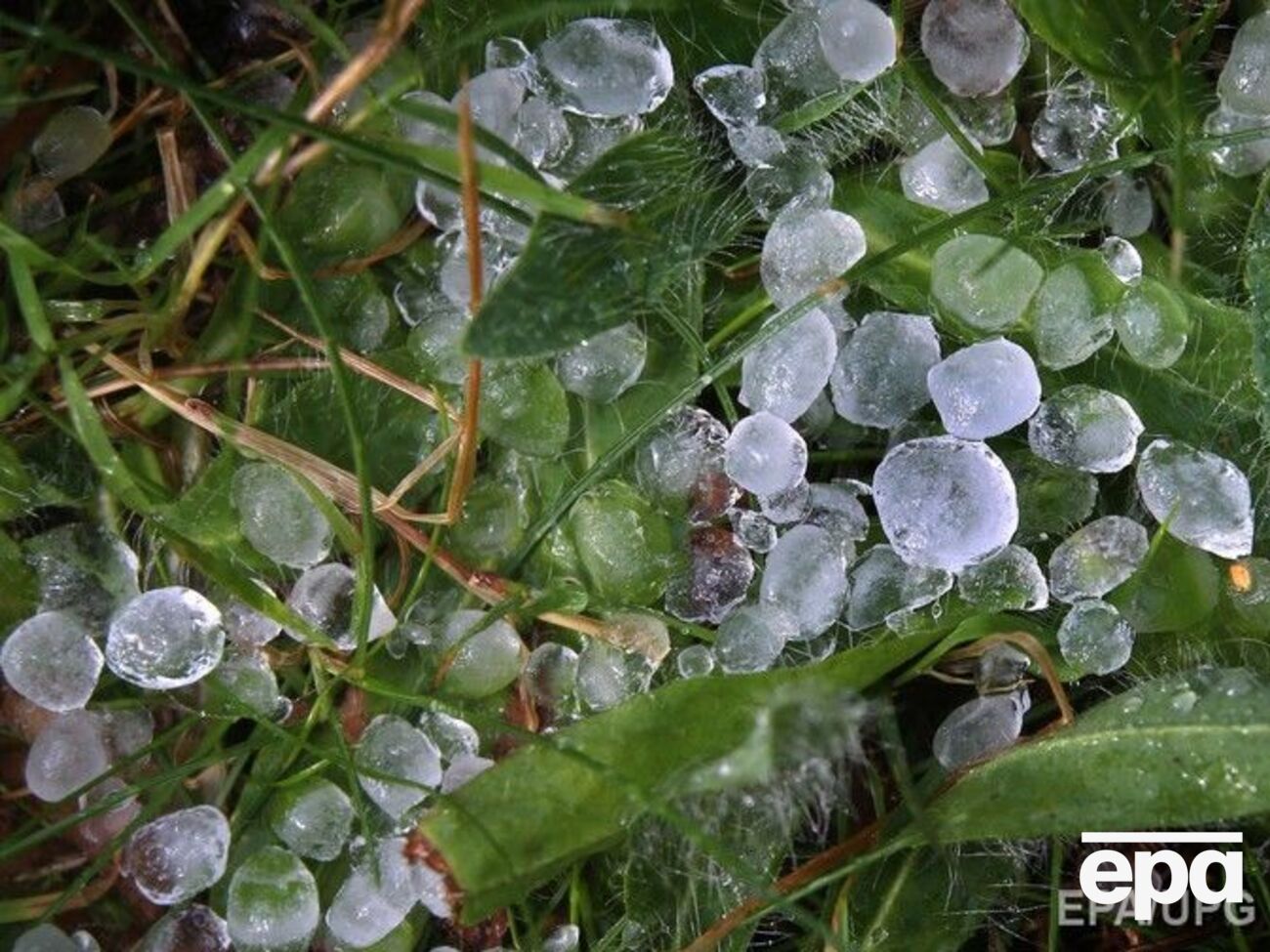 На западе Украины синоптики прогнозируют град