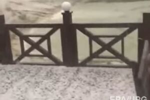 Град за несколько минут покрыл улицу