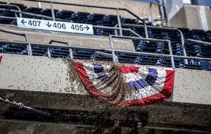 Одну из трибун стадиона заполонили пчелы