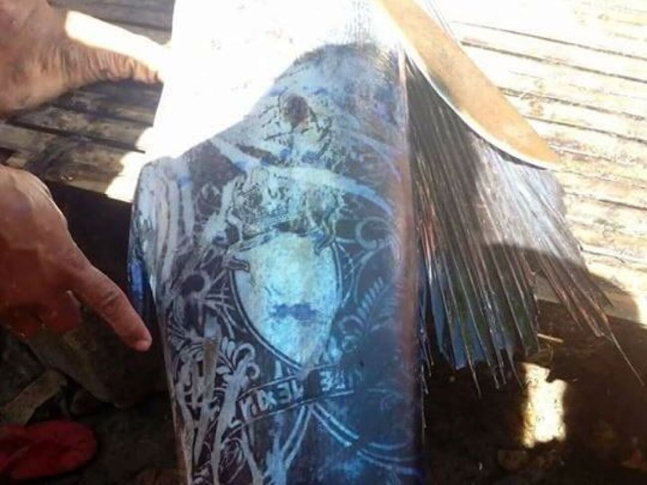 Рисунок на пойманной рыбе очень похож на татуировку с буквами