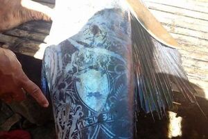 Рисунок на пойманной рыбе очень похож на татуировку с буквами