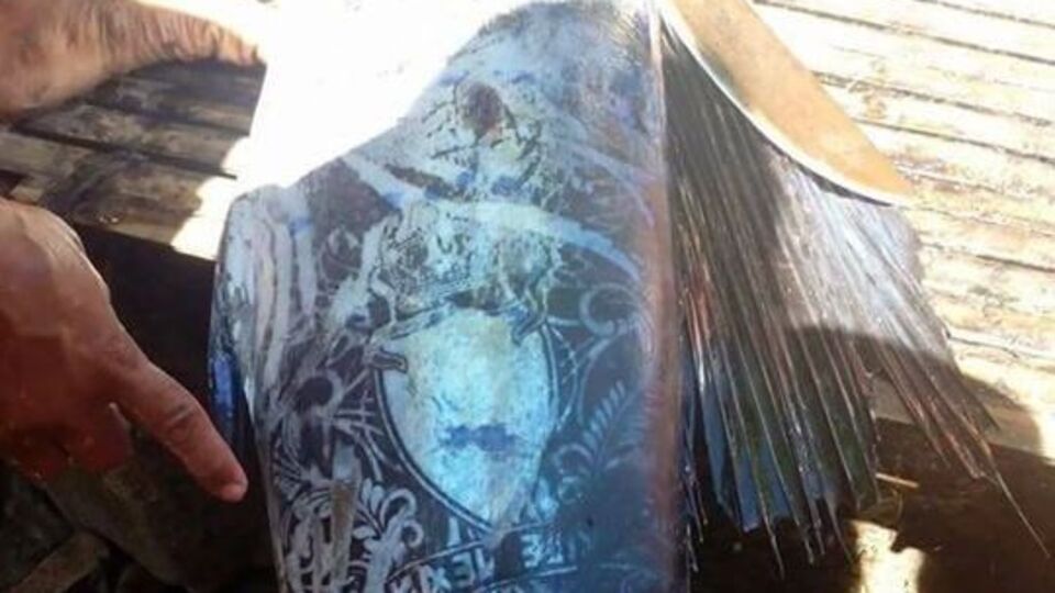 Рисунок на пойманной рыбе очень похож на татуировку с буквами