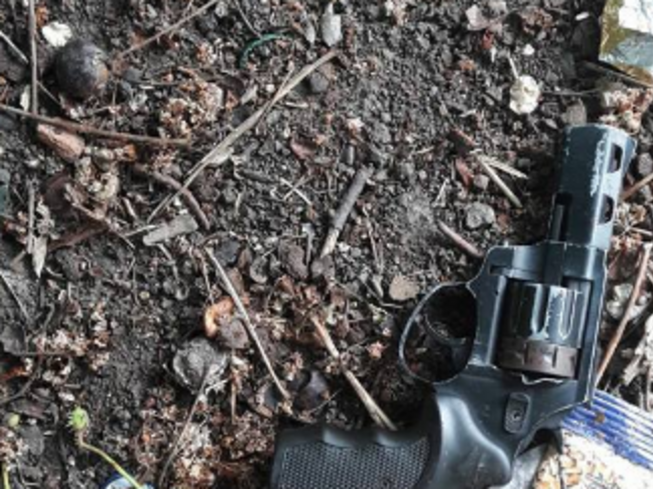 Під час затримання зловмисник викинув зброю