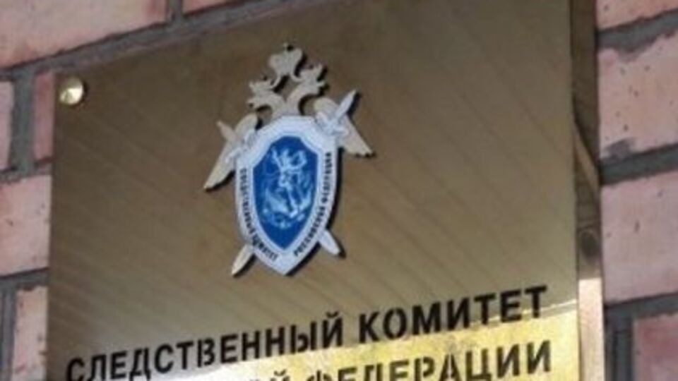 Следком РФ приступил к проверке изложенных в СМИ фактов о ДТП в Московской области