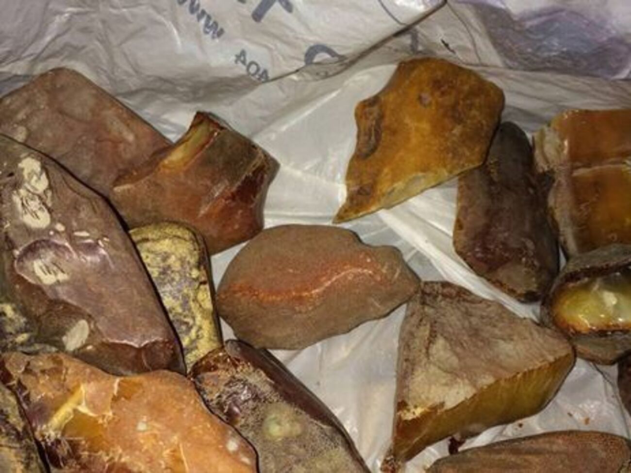 Незаконне видобування бурштину, за даними екологів, завдає непоправної шкоди природі