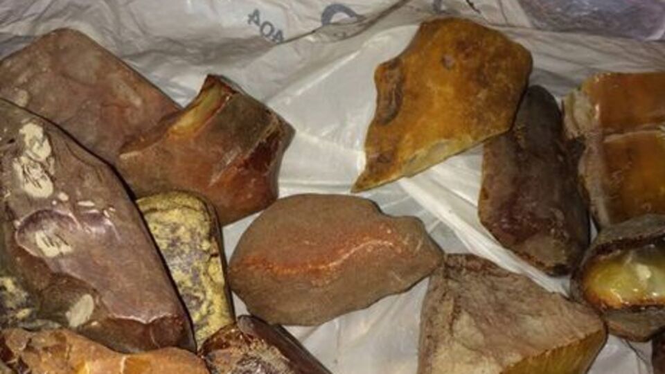 Незаконне видобування бурштину, за даними екологів, завдає непоправної шкоди природі