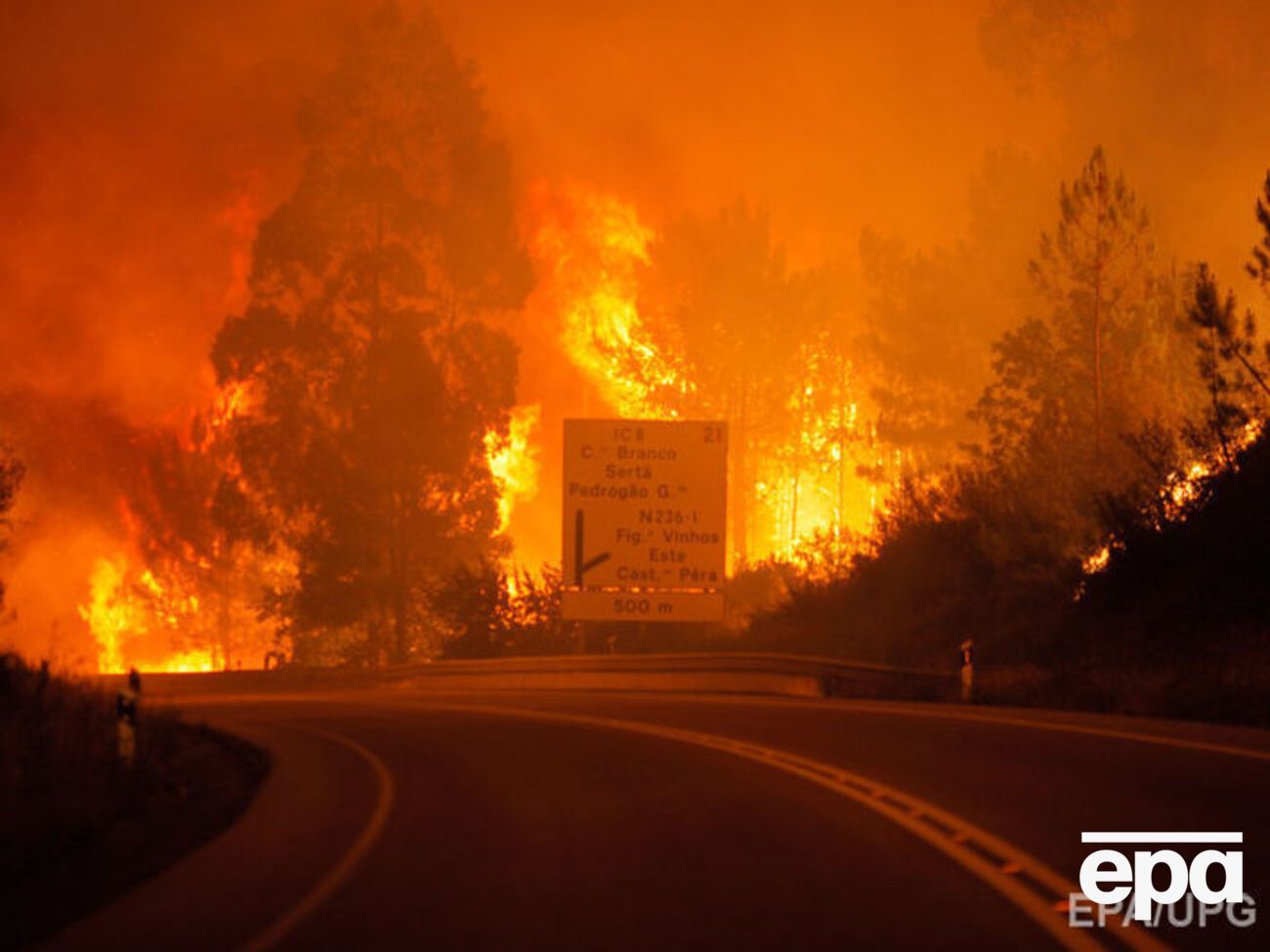 Большинство погибших в Португалии &ndash; пассажиры автомобилей, заблокированные на дороге бушующим пламенем