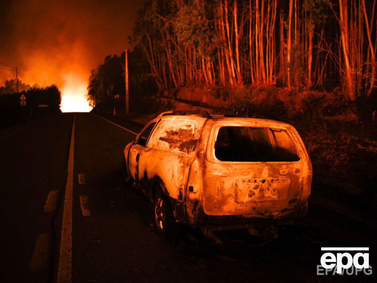 В ЕС выразили соболезнования тем, кто потерял близких в пожарах в Португалии