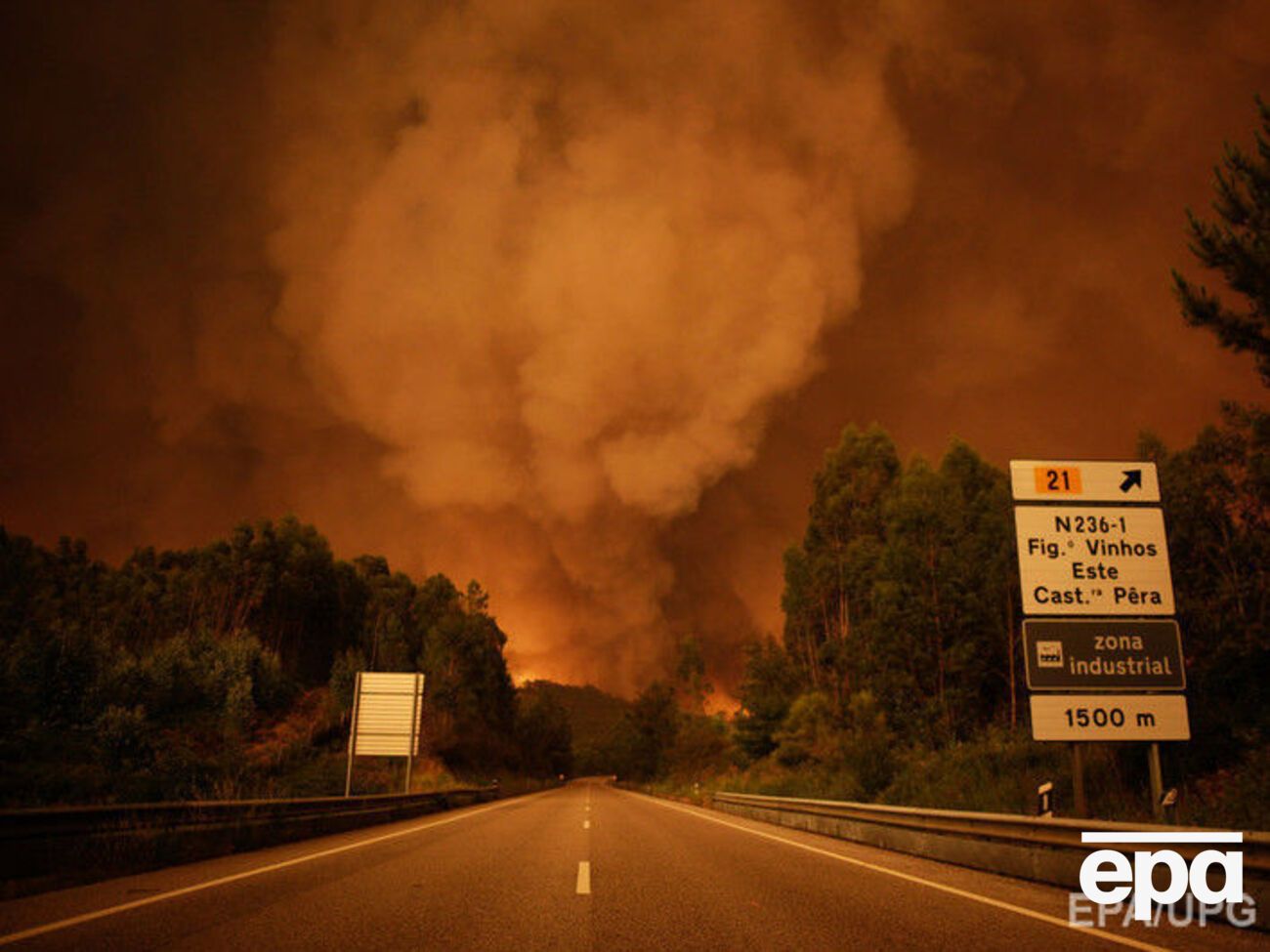 В Португалии горят леса, погибли минимум 43 человека. Фоторепортаж