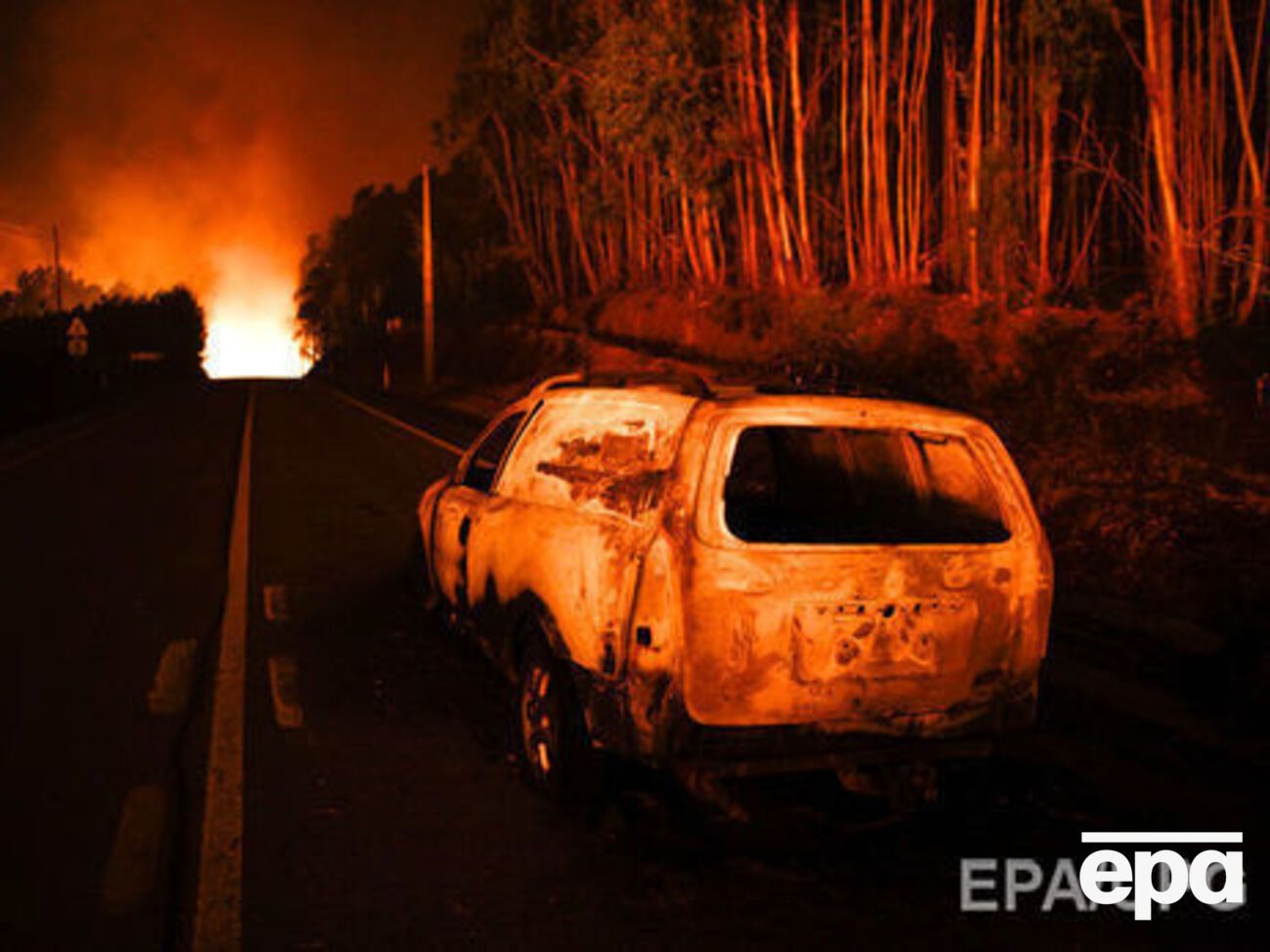 30 погибших в результате лесного пожара в Португалии были обнаружены в автомобилях