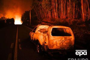 30 погибших в результате лесного пожара в Португалии были обнаружены в автомобилях