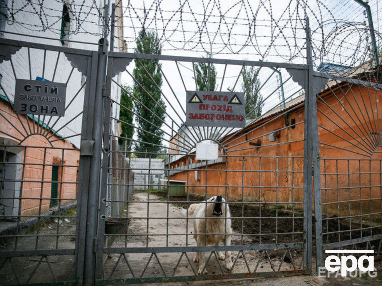 Комітет із питань запобігання катуванням відвідав українські в'язниці в листопаді 2016 року