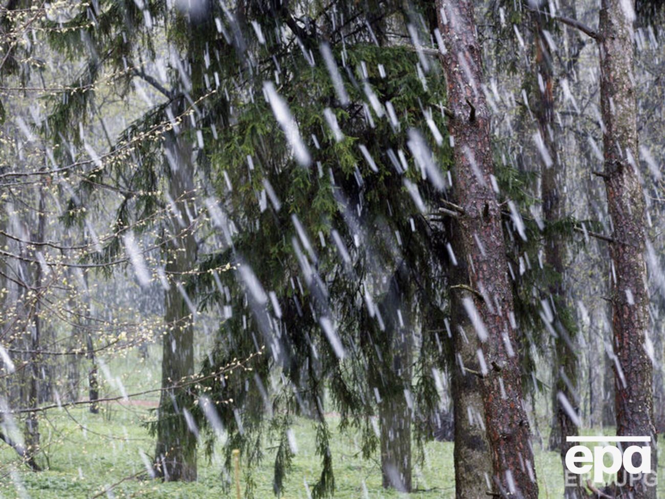 У Москві погодна аномалія