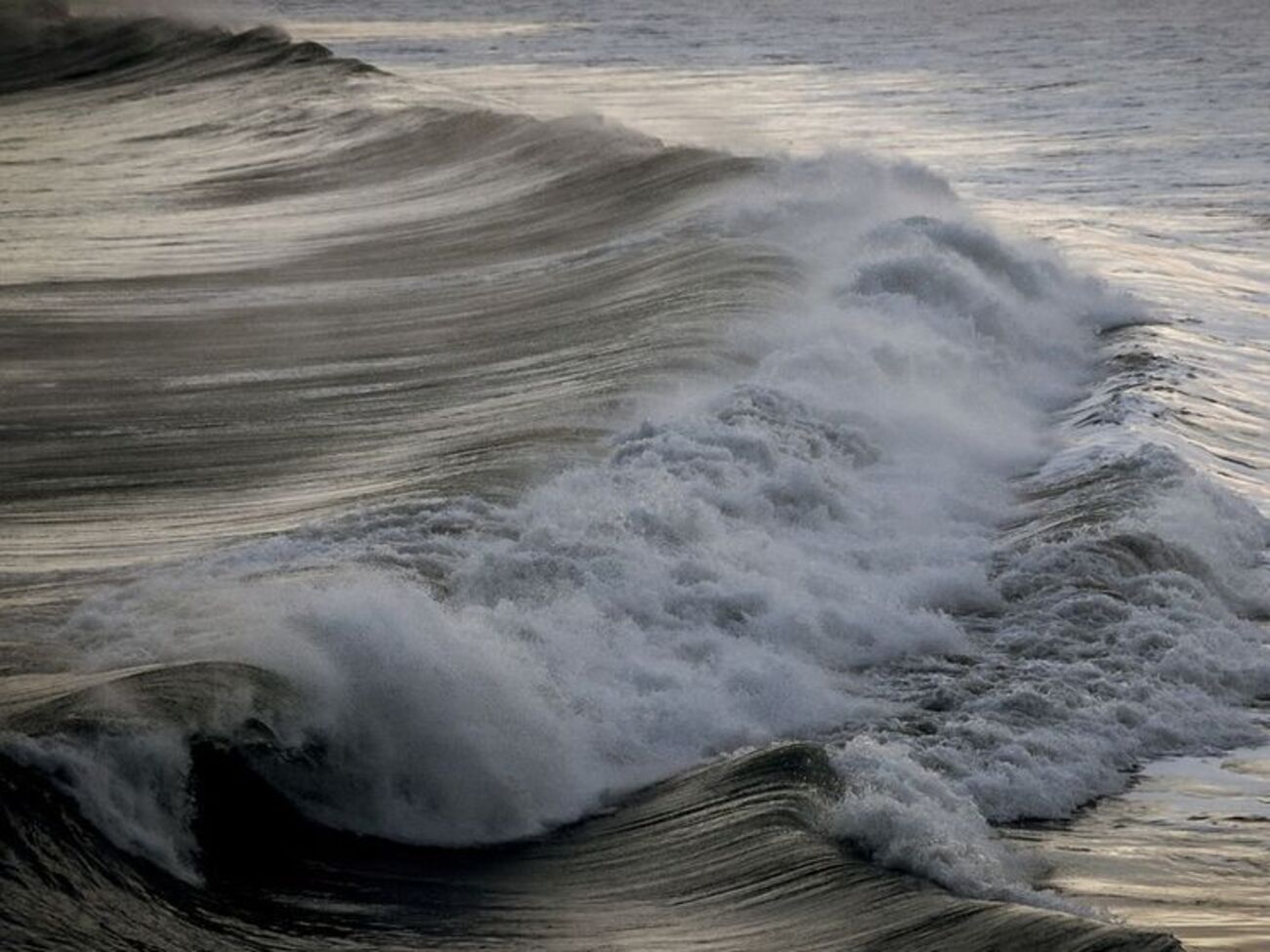 Власти южных американских штатов предупредили жителей об опасности