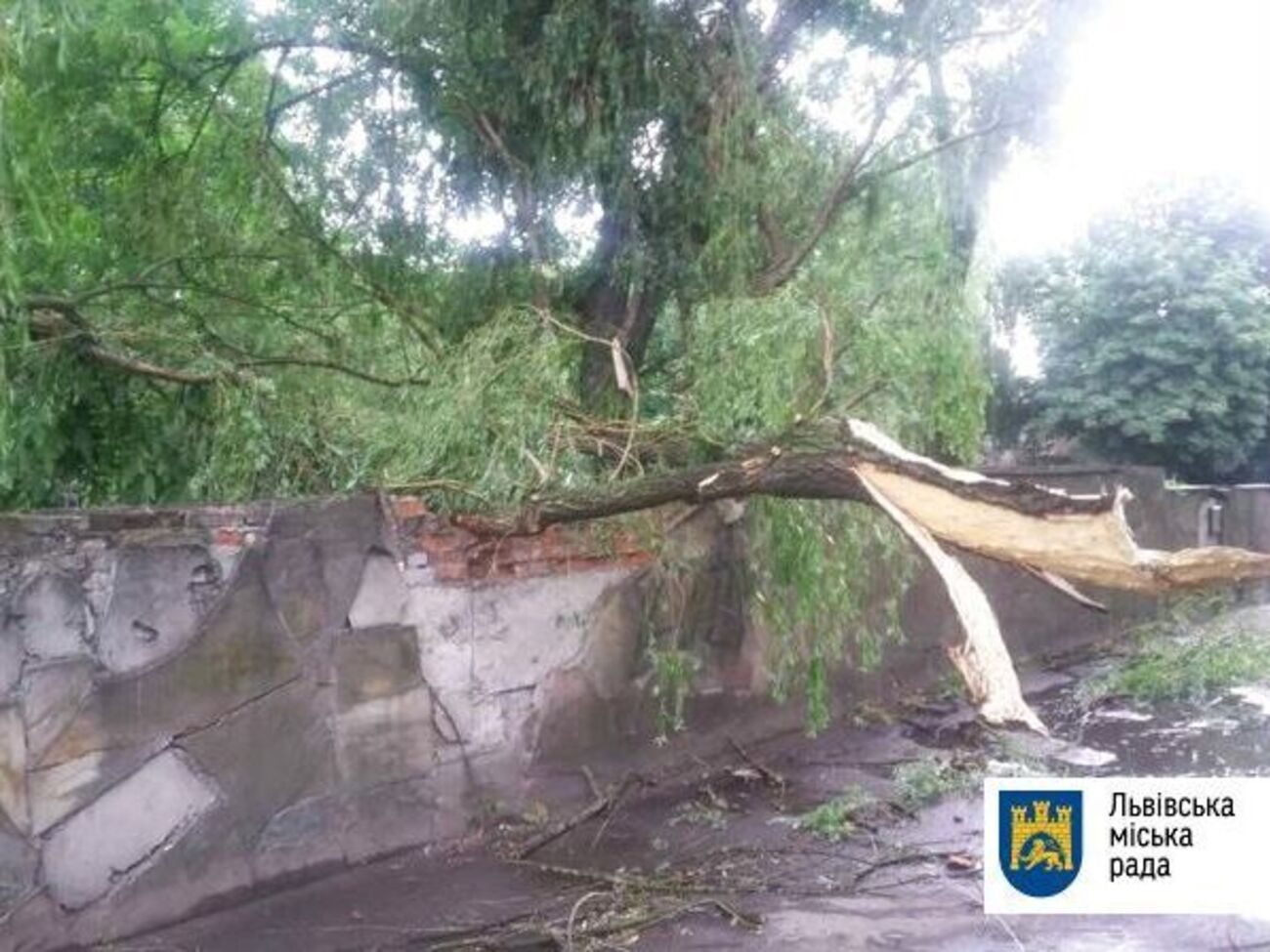 Коммунальные службы будут работать над ликвидацией последствий непогоды и завтра