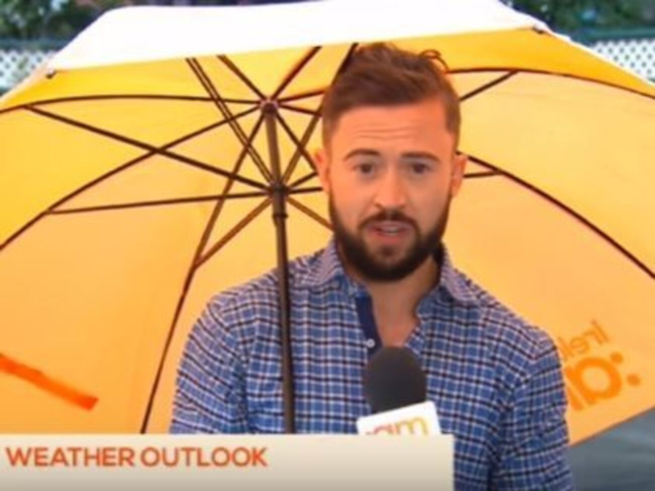 В сюжете ведущий рассказывал о погоде