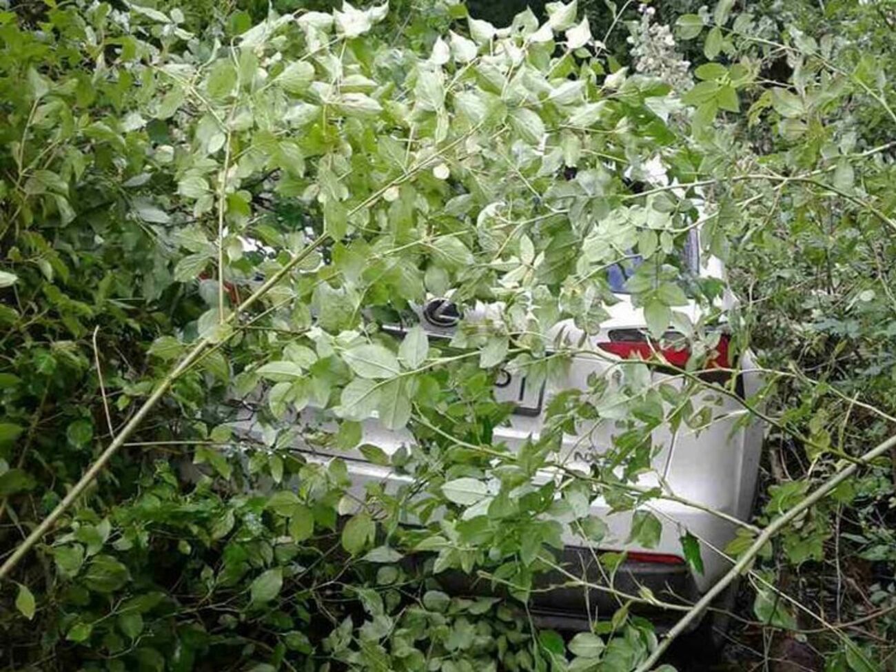 Зловмисники покинули авто