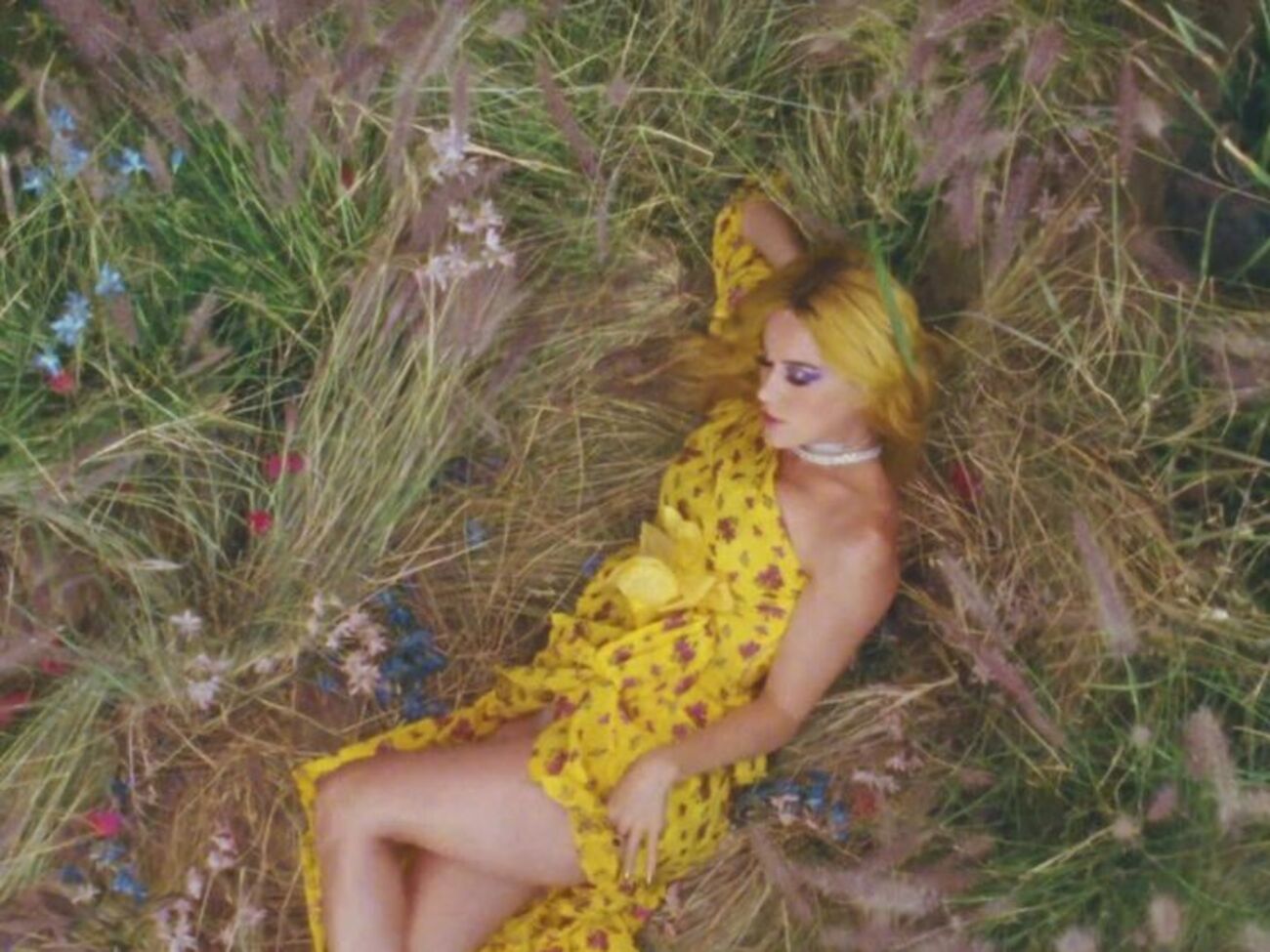 Перри снялась в ролике Харриса