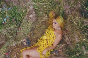 Перри снялась в ролике Харриса