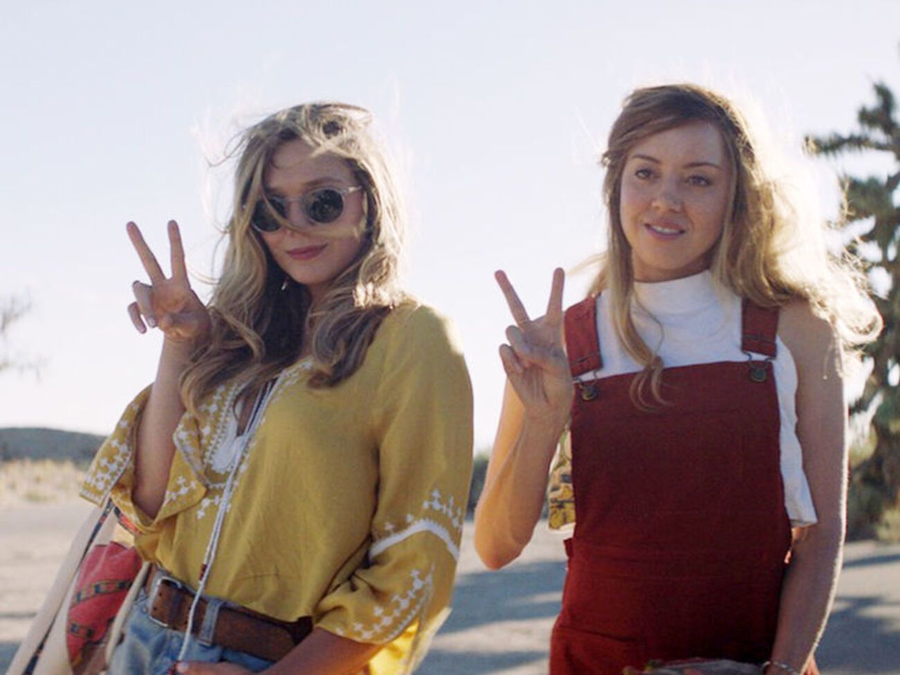 В центре сюжета фильма &ndash; история взаимоотношений звезды соцсетей и ее фанатки