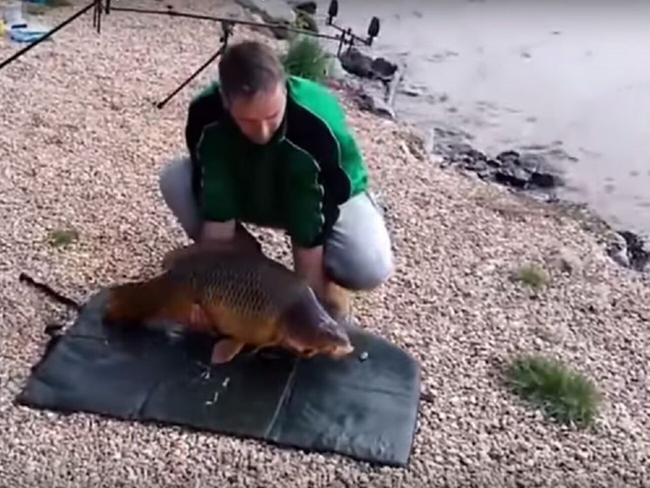 Коропу вдалося врятуватися завдяки близькості води