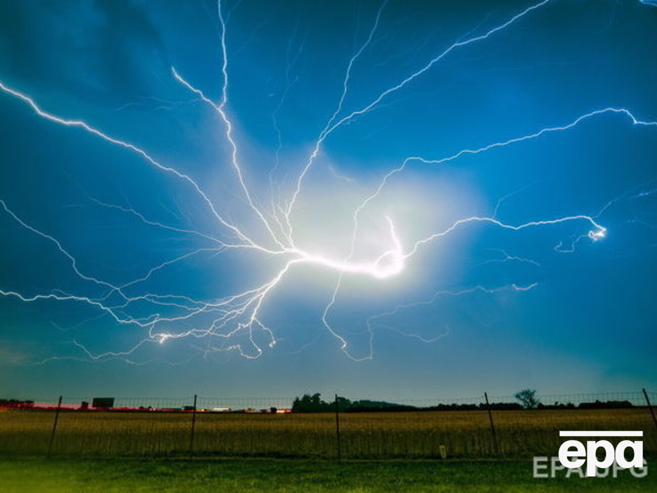 Люди ховалися від блискавки під деревом