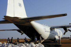 На борту літака було приблизно п'ять тонн їжі