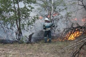 У Чорнобильській зоні відчуження і далі гасять пожежу