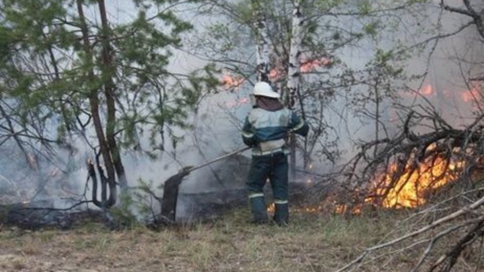 В Чернобыльской зоне отчуждения продолжают тушить пожар