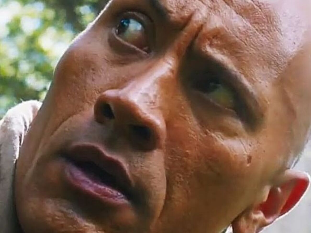 Джонсон виконав одну з ролей у фільмі