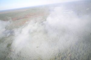 Площа пожежі в Чорнобильській зоні скоротилася до восьми гектарів