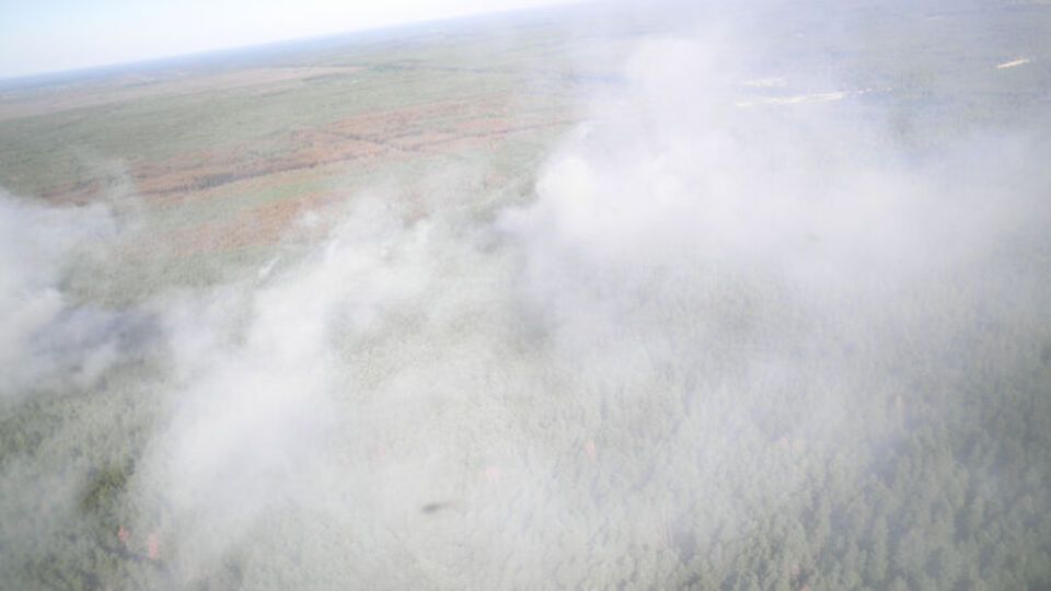 Площа пожежі в Чорнобильській зоні скоротилася до восьми гектарів