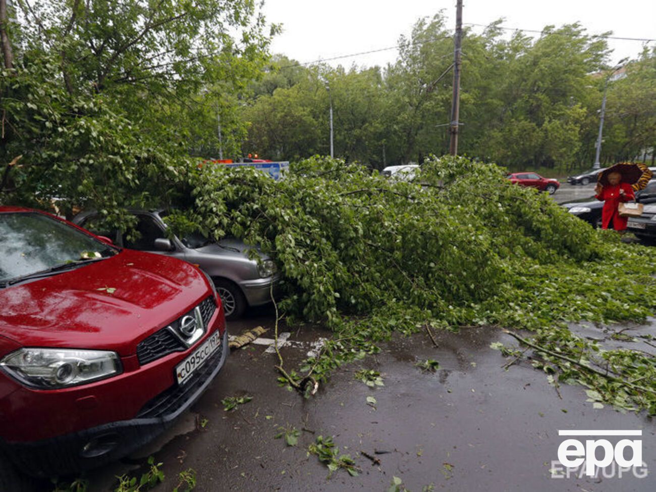 Під час грози в Москві впали десятки дерев