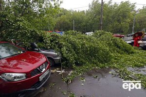 Під час грози в Москві впали десятки дерев