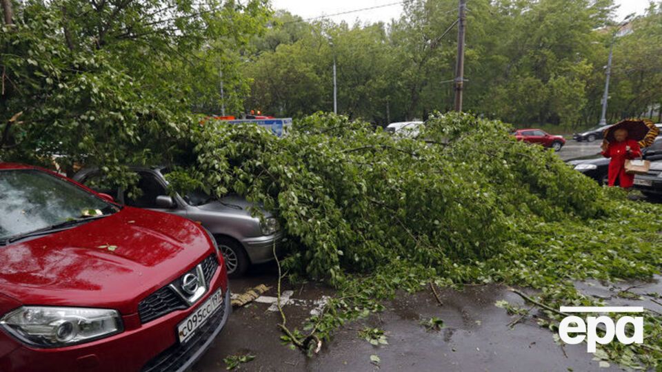 Під час грози в Москві впали десятки дерев