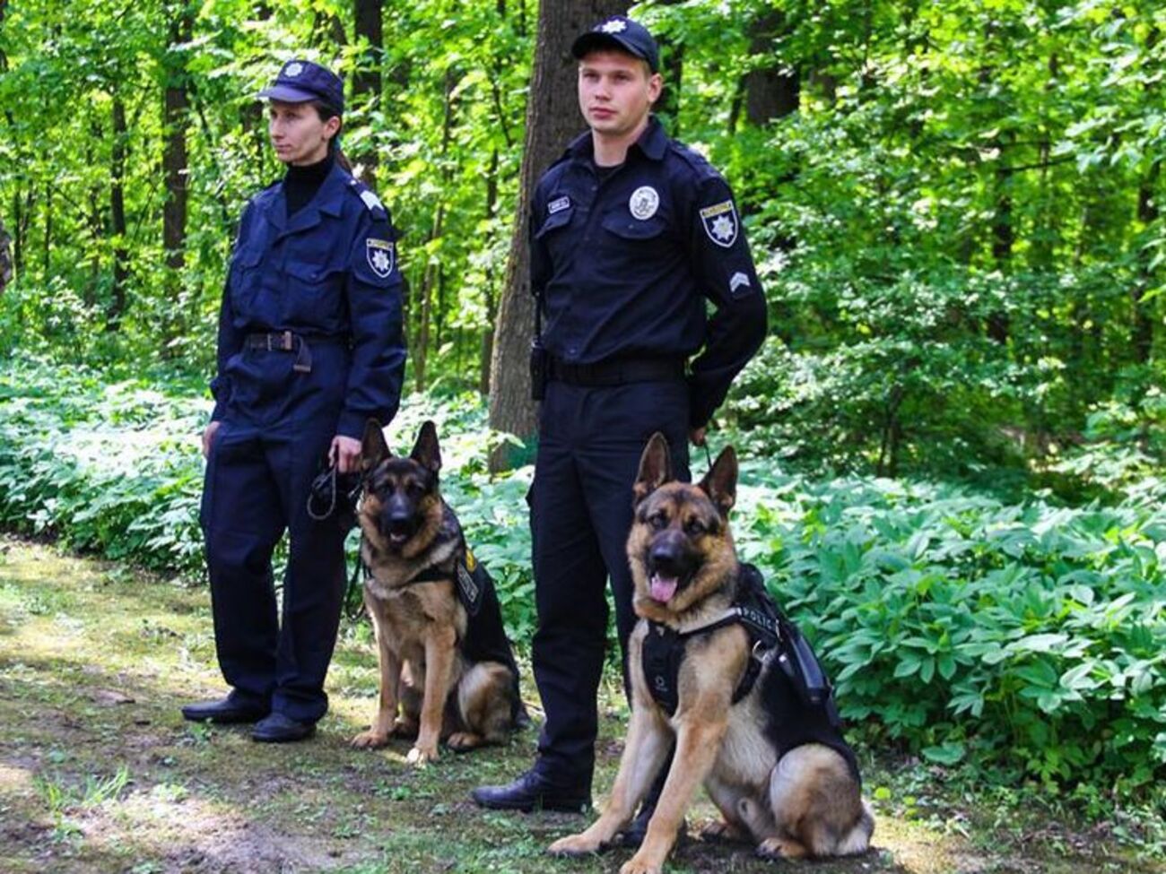 Поліція обшукала територію дитсадка на наявність вибухівки