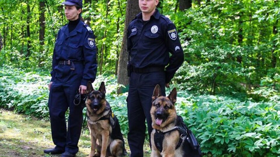 Поліція обшукала територію дитсадка на наявність вибухівки