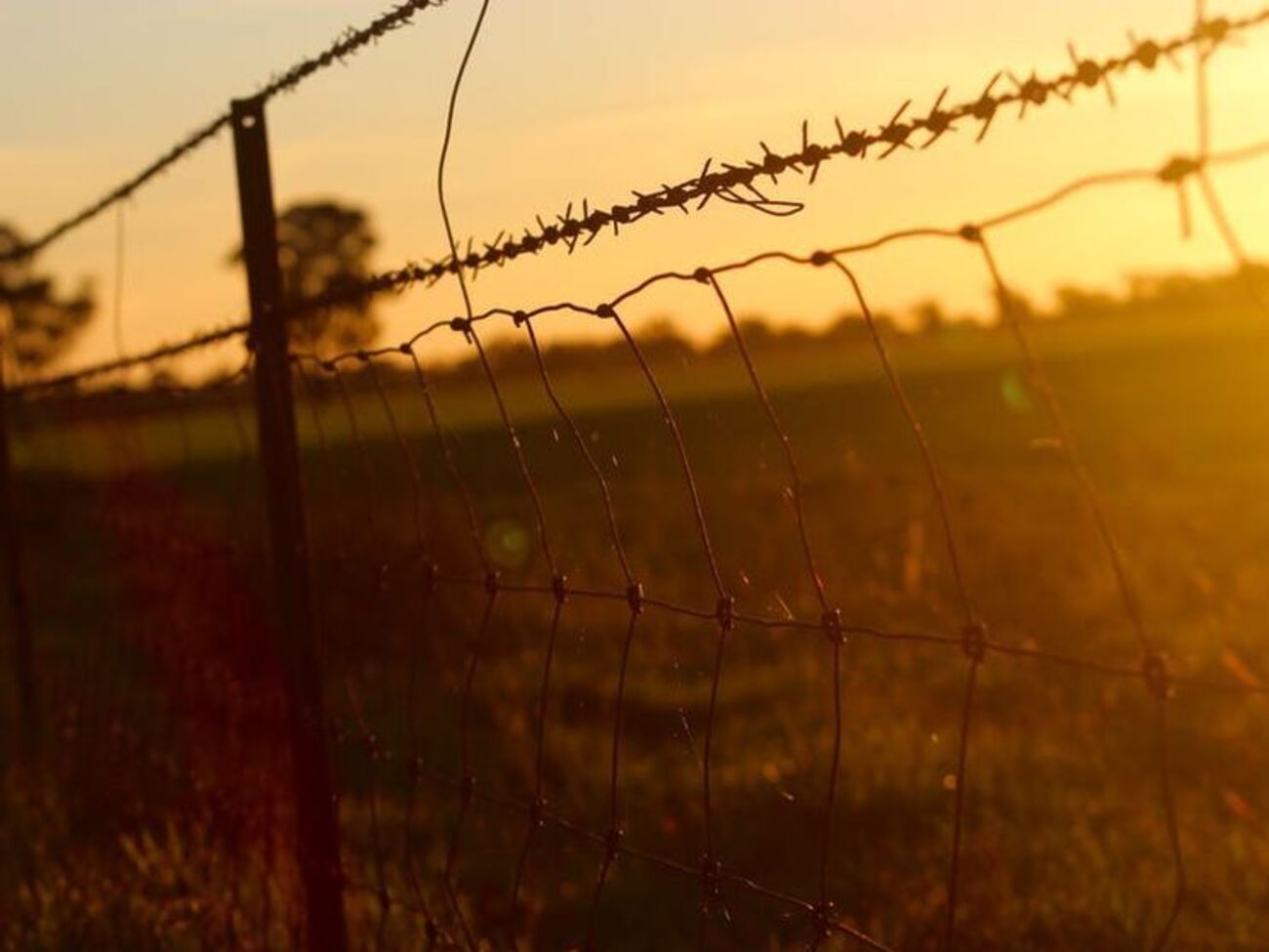 Литва построит забор на границе с РФ