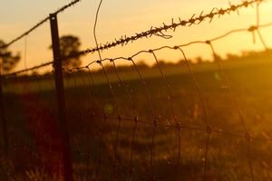 Литва построит забор на границе с РФ