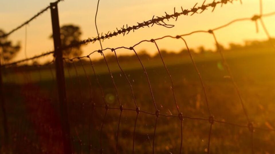 Литва построит забор на границе с РФ