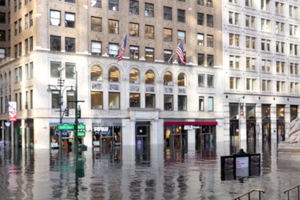 Блогери показали, якими можуть бути наслідки глобального потепління для Нью-Йорка