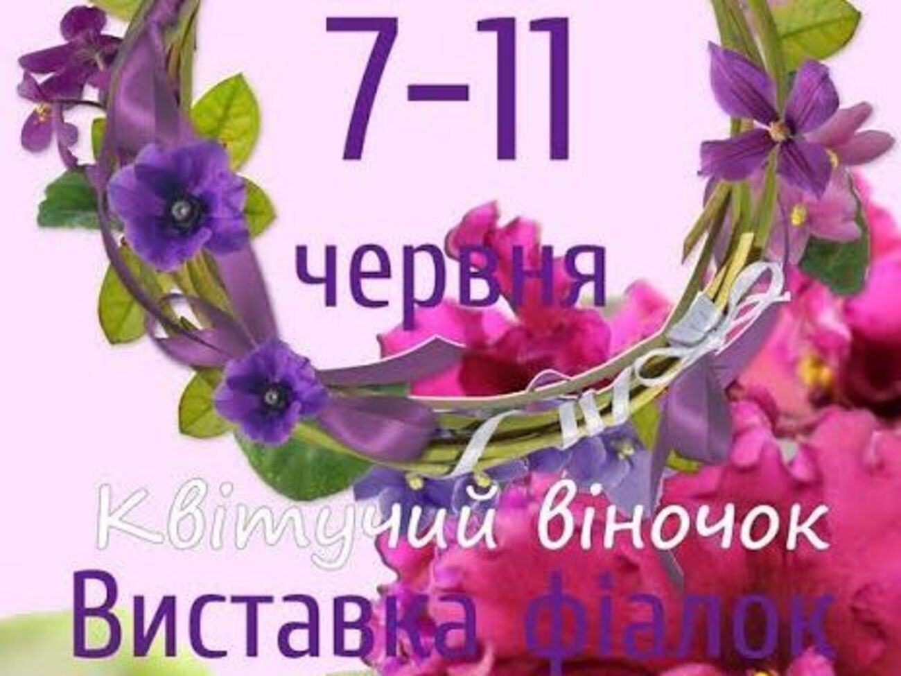 На виставці презентують різні види кімнатних квітів, зокрема, фіалок