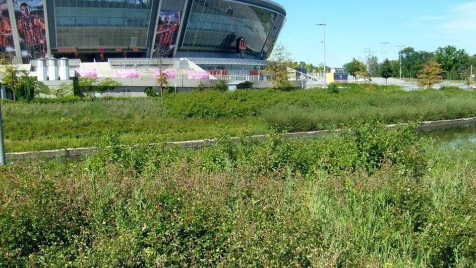 "Донбасс Арену" захватили в феврале этого года