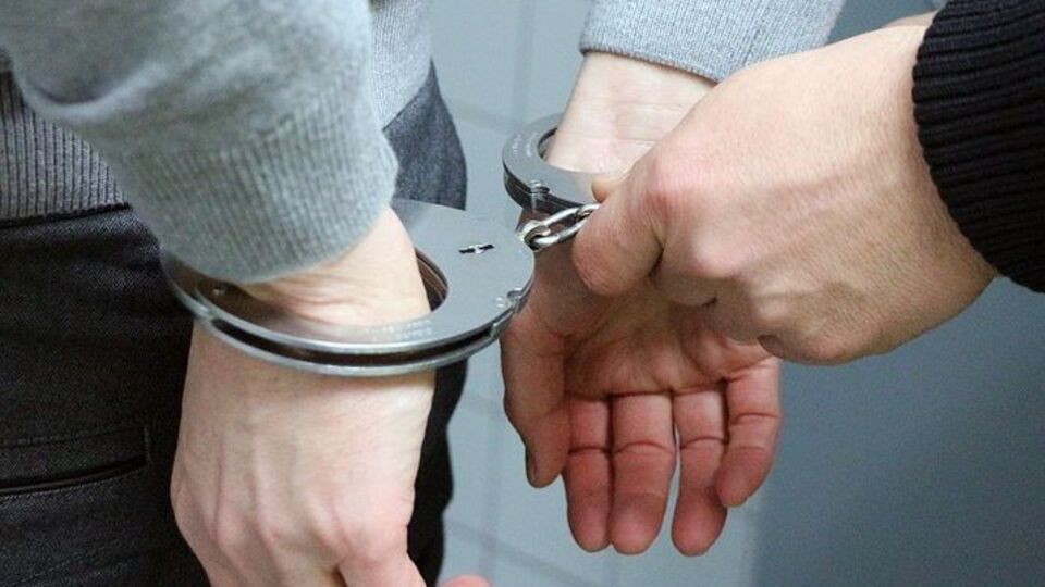 Похищение планировалось по заказу гражданина РФ за денежное вознаграждение в сумме $17 млн